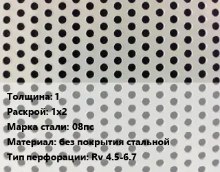 Лист перфорированный 1 1х2 Марка: 08пс без покрытия стальной Rv 4.5-6.7